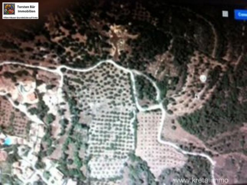 Douliana Kreta, Doulina-Kalyves einzigartiges Baugrundstück mit Wald Grundstück kaufen